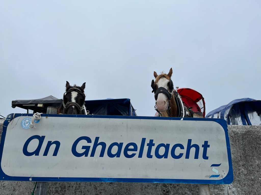 The language of culture, or why “Banshee” mixes English with&nbsp;Irish